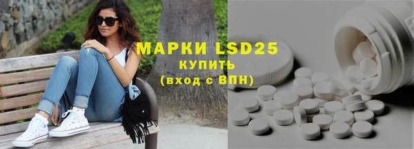 крисы Вязьма