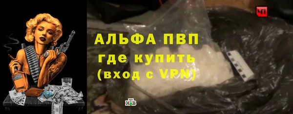 крисы Вязьма