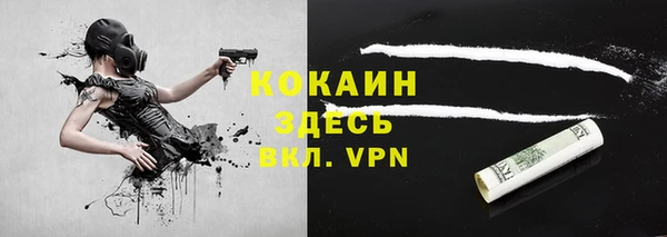 крисы Вязьма