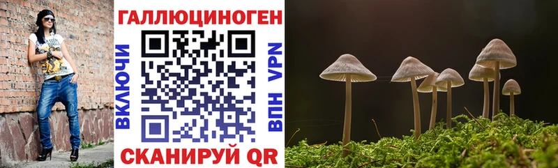 Галлюциногенные грибы мицелий shop состав Калачинск